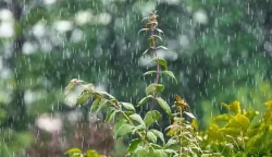 Hujan Lebat dan Angin Kencang Masih Berpotensi Landa Wilayah Kalteng