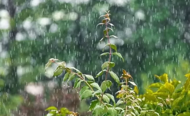 Hujan Lebat dan Angin Kencang Masih Berpotensi Landa Wilayah Kalteng