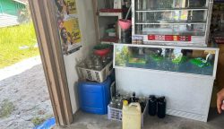 Pembobolan Toko di Palangka Raya: Pelaku Gasak Puluhan Slop Rokok dan Uang Tunai