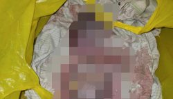 Warga Temukan Jasad Bayi yang Dibawa Oleh Perempuan dengan Gangguan Jiwa