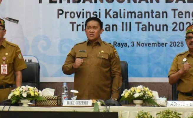 Wagub Kalteng Dorong Efisiensi dan Inovasi Fiskal