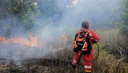 Petugas saat melakukan pemadaman kebakaran lahan di Palangka Raya (Foto:ist)