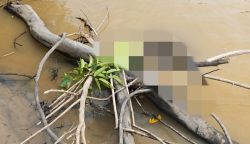 Aiptu Sumaryanto Ditemukan MeninggalDunia di Rantau Asem, Operasi SAR Resmi Ditutup